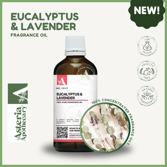 Eucalyptus & Lavender Fragrance Oil