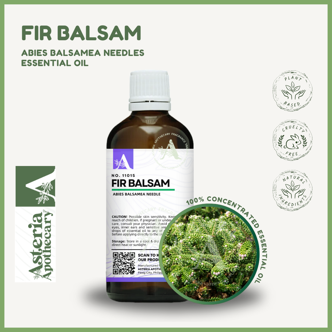 Fir Balsam Essential Oil