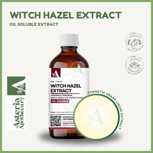 Witch Hazel Oil Soluble Extract