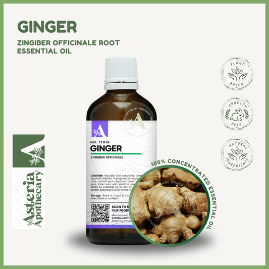 Ginger Essential Oil