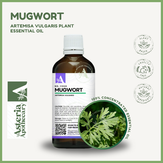 Mugwort Essential Oil