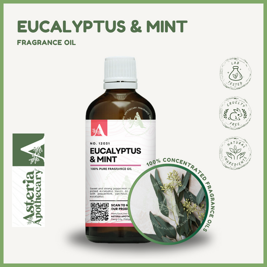 Eucalyptus & Mint Fragrance Oil