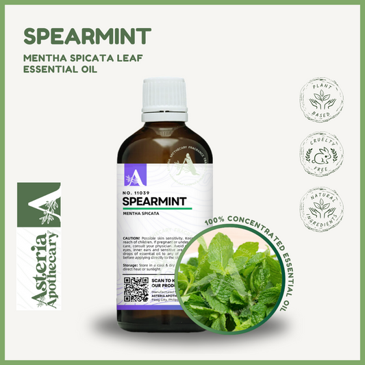 Spearmint Essential Oil