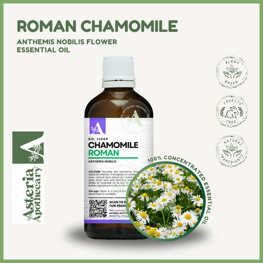 Chamomile | Roman Essential Oil