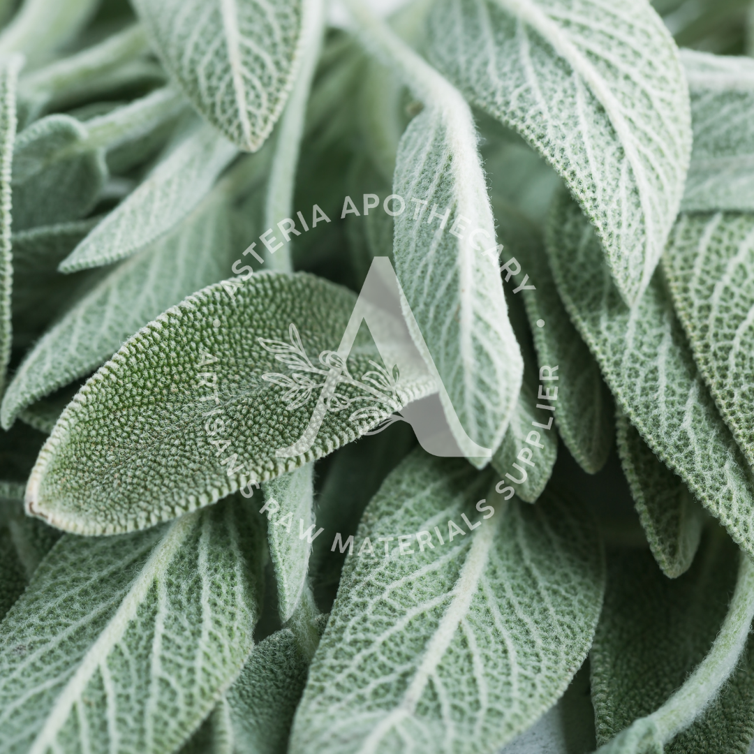 Sage Fragrance Oil