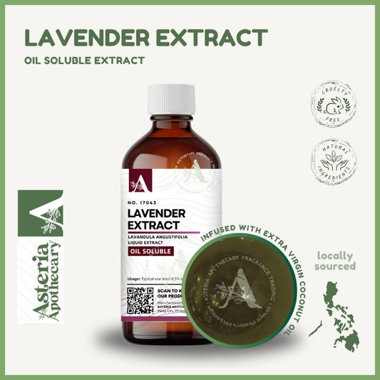 Lavender Extract | Botanical Extract