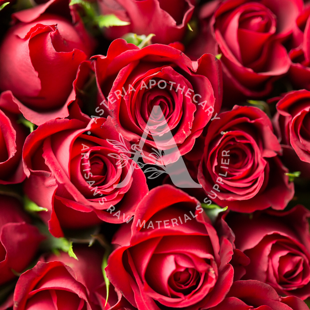 Red Roses Fragrance Oil